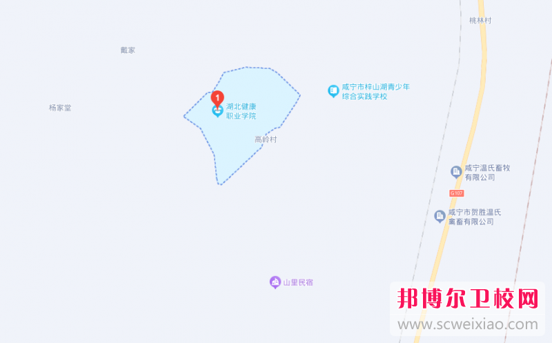 湖北健康職業(yè)學(xué)院地址在哪里，哪個(gè)地區(qū)，哪個(gè)城市?