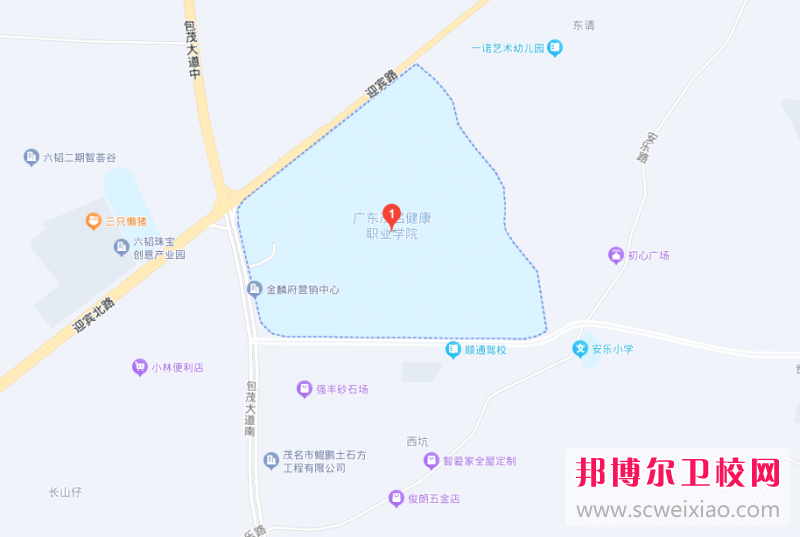 廣東茂名健康職業(yè)學院地址在哪里，哪個地區(qū)，哪個城市?