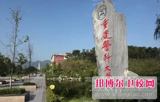 2023重慶醫(yī)科大學(xué)護(hù)理學(xué)院有哪些專業(yè) 重慶醫(yī)科大學(xué)護(hù)理學(xué)院開設(shè)的專業(yè)一覽表