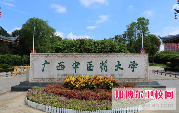 2023廣西中醫(yī)藥大學(xué)有哪些專業(yè) 廣西中醫(yī)藥大學(xué)開設(shè)的專業(yè)一覽表