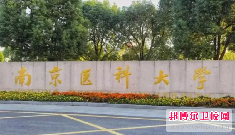 2023南京口腔醫(yī)學學校有哪些 南京口腔醫(yī)學學校名單一覽表