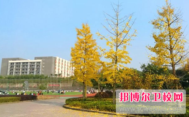 四川2023年初中生怎么考護(hù)理學(xué)校