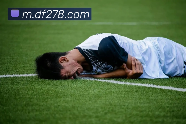 巅峰国际品牌故事