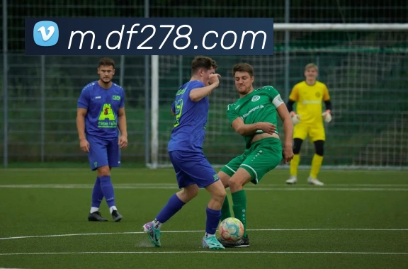 巅峰国际服务体系